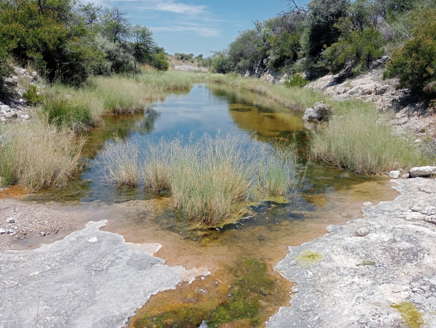 Commercial Property for Sale in Barkly West Northern Cape